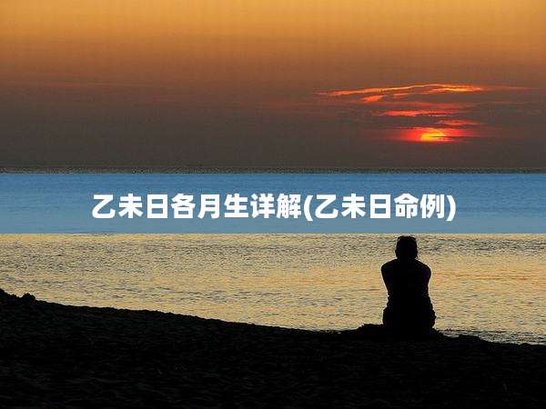 乙未日各月生详解(乙未日命例)