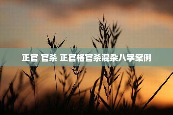正官 官杀 正官格官杀混杂八字案例