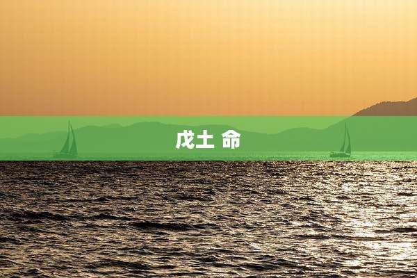 戊土 命