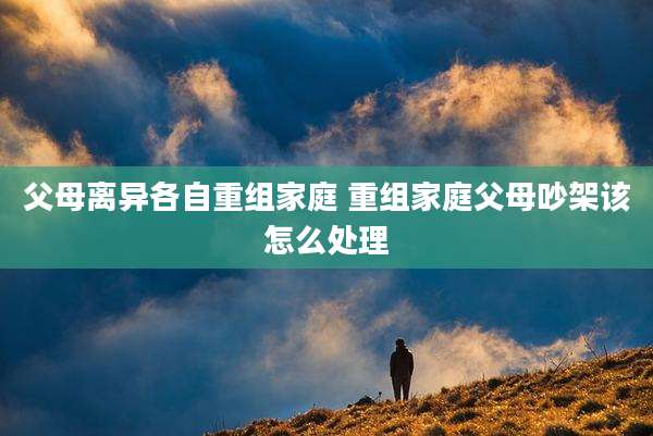 父母离异各自重组家庭 重组家庭父母吵架该怎么处理