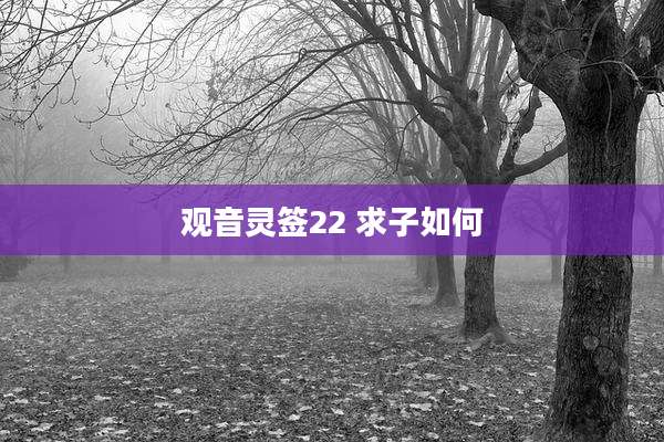 观音灵签22 求子如何