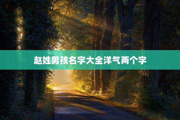 赵姓男孩名字大全洋气两个字