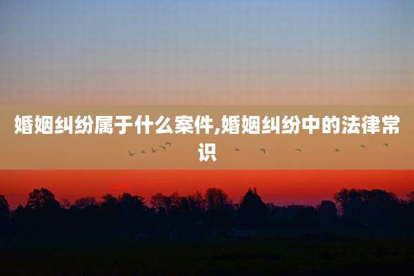 婚姻纠纷属于什么案件,婚姻纠纷中的法律常识