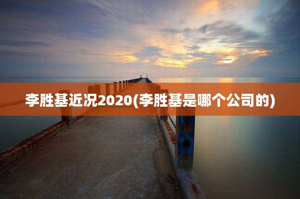 李胜基近况2020(李胜基是哪个公司的)
