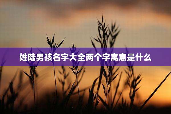 姓陆男孩名字大全两个字寓意是什么