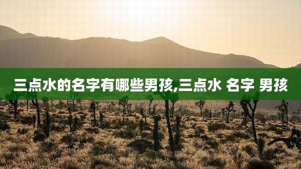 三点水的名字有哪些男孩,三点水 名字 男孩