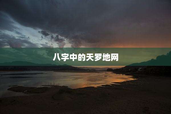 八字中的天罗地网