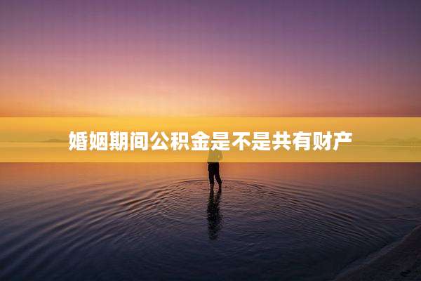 婚姻期间公积金是不是共有财产
