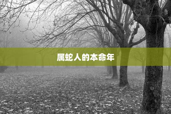 属蛇人的本命年