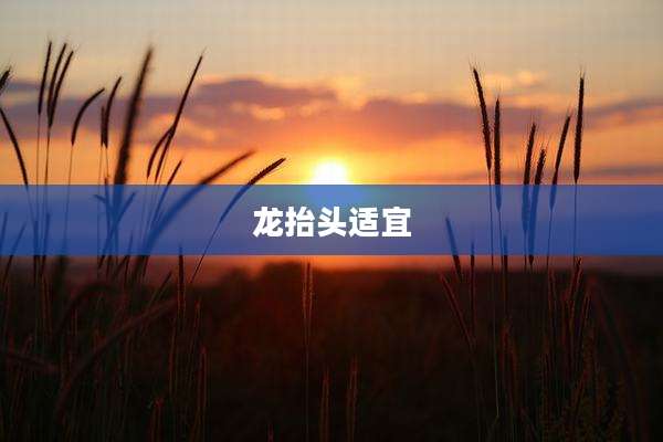 龙抬头适宜