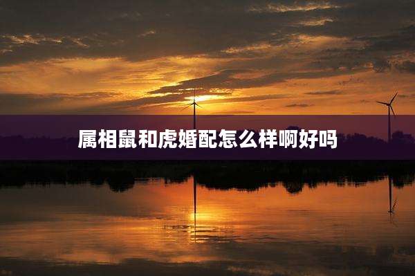 属相鼠和虎婚配怎么样啊好吗