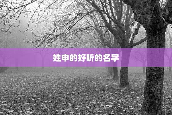 姓申的好听的名字