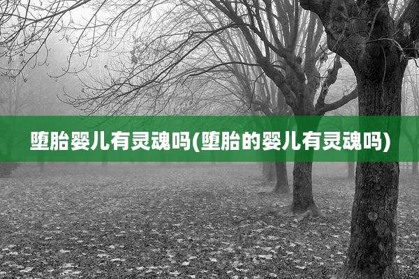 堕胎婴儿有灵魂吗(堕胎的婴儿有灵魂吗)