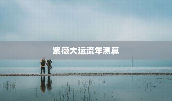 紫薇大运流年测算