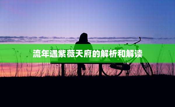流年遇紫薇天府的解析和解读
