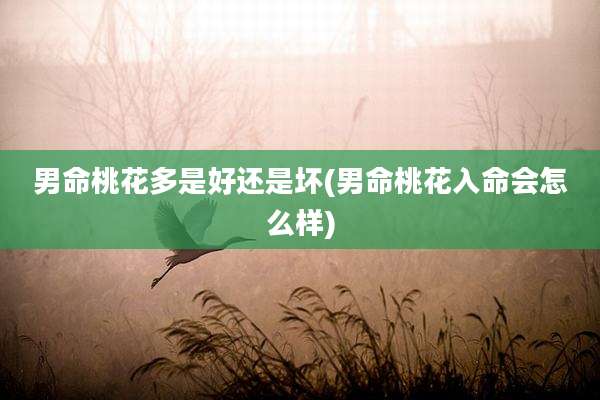 男命桃花多是好还是坏(男命桃花入命会怎么样)