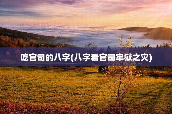 吃官司的八字(八字看官司牢狱之灾)