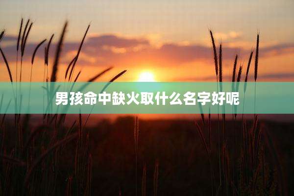 男孩命中缺火取什么名字好呢