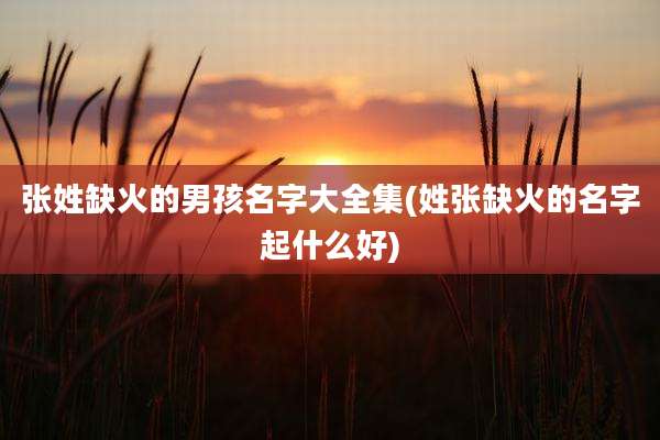 张姓缺火的男孩名字大全集(姓张缺火的名字起什么好)