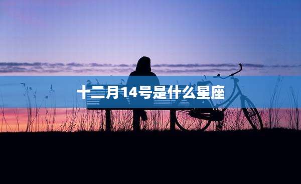 十二月14号是什么星座