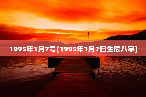 1995年1月7号(1995年1月7日生辰八字)