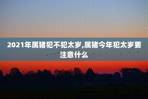 2021年属猪犯不犯太岁,属猪今年犯太岁要注意什么