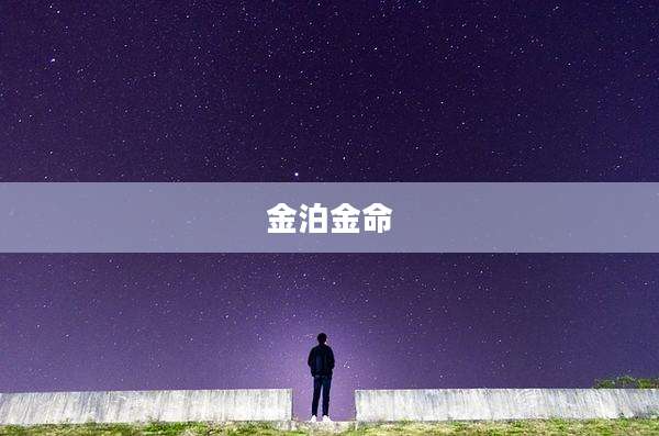 金泊金命