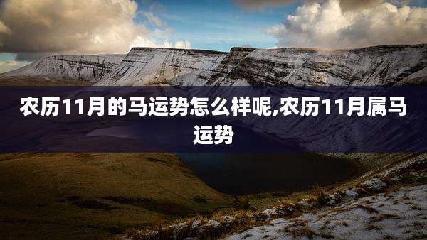 农历11月的马运势怎么样呢,农历11月属马运势