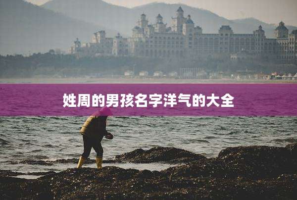 姓周的男孩名字洋气的大全