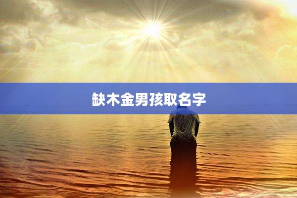 缺木金男孩取名字