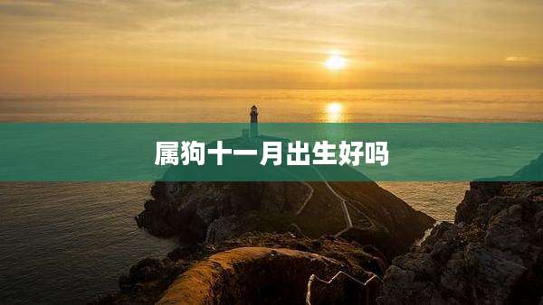 属狗十一月出生好吗