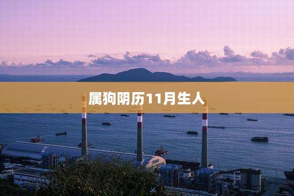 属狗阴历11月生人