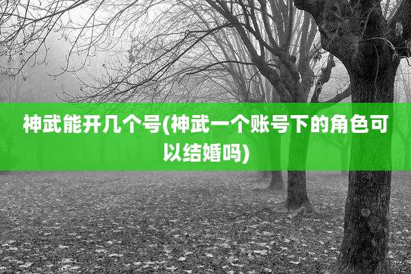 神武能开几个号(神武一个账号下的角色可以结婚吗)