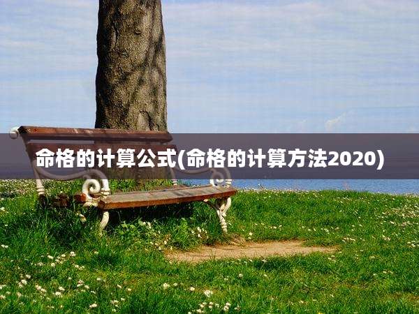 命格的计算公式(命格的计算方法2020)
