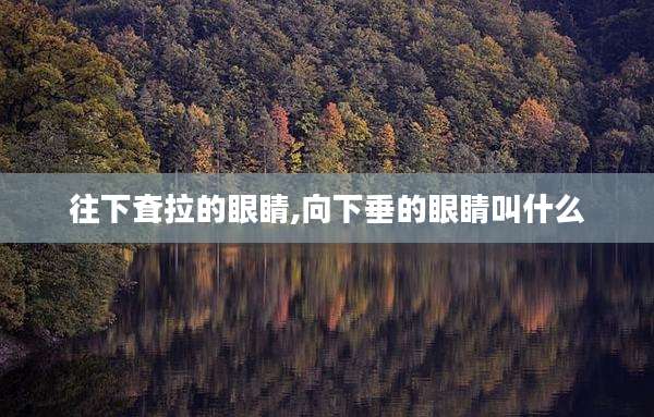往下耷拉的眼睛,向下垂的眼睛叫什么