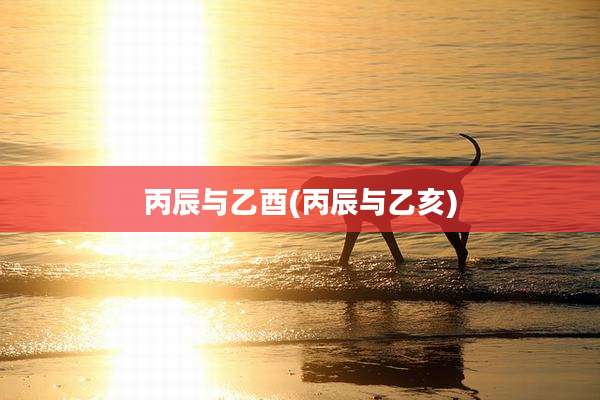 丙辰与乙酉(丙辰与乙亥)