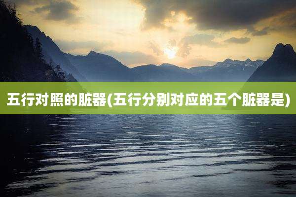 五行对照的脏器(五行分别对应的五个脏器是)
