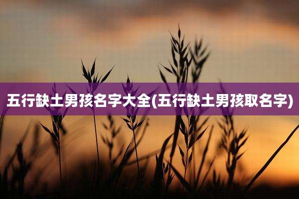 五行缺土男孩名字大全(五行缺土男孩取名字)