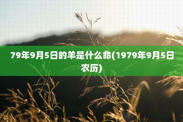 79年9月5日的羊是什么命(1979年9月5日农历)