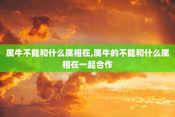 属牛不能和什么属相在,属牛的不能和什么属相在一起合作