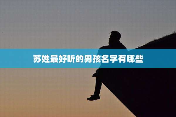 苏姓最好听的男孩名字有哪些
