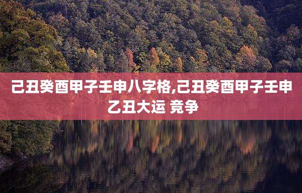 己丑癸酉甲子壬申八字格,己丑癸酉甲子壬申 乙丑大运 竞争