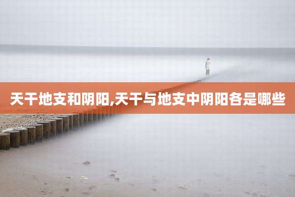天干地支和阴阳,天干与地支中阴阳各是哪些