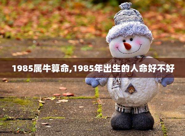 1985属牛算命,1985年出生的人命好不好