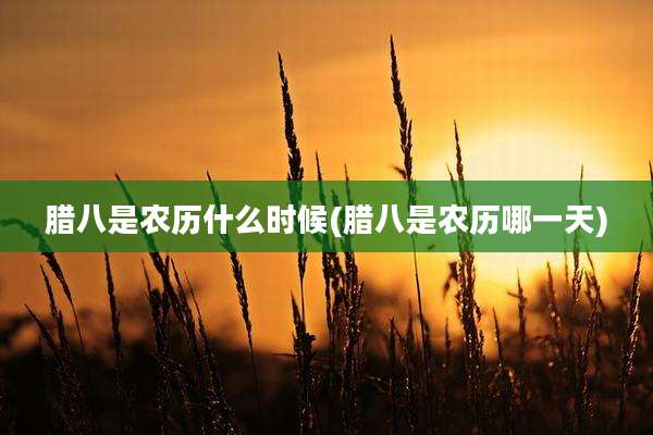 腊八是农历什么时候(腊八是农历哪一天)