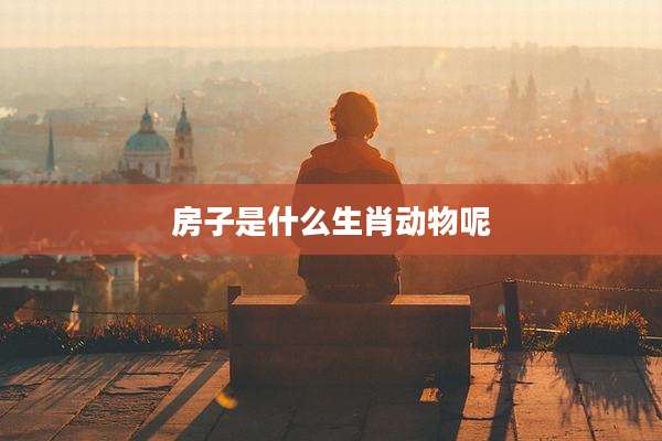 房子是什么生肖动物呢