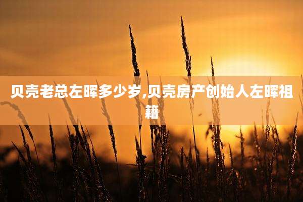 贝壳老总左晖多少岁,贝壳房产创始人左晖祖籍