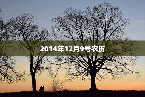 2014年12月9号农历