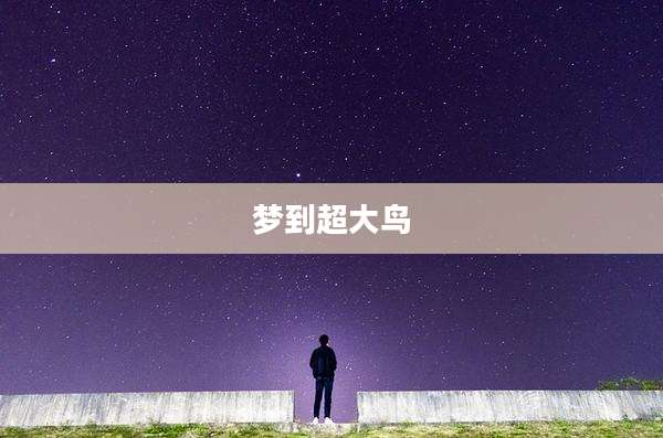 梦到超大鸟