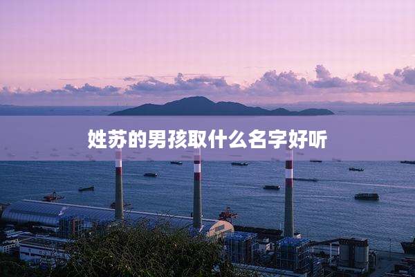 姓苏的男孩取什么名字好听